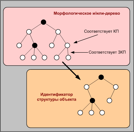Идентификатор структуры объекта в виде морфологического и-дерева с вырожденными или-вершинами