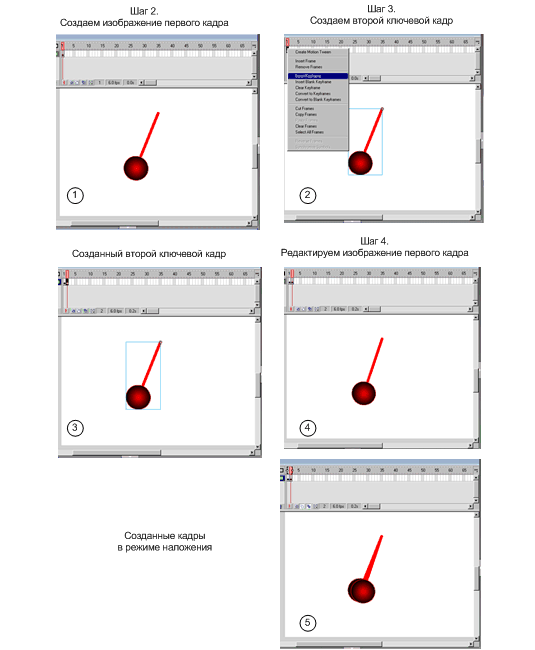 Создание покадровой анимации в Macromedia Flash MX 2004