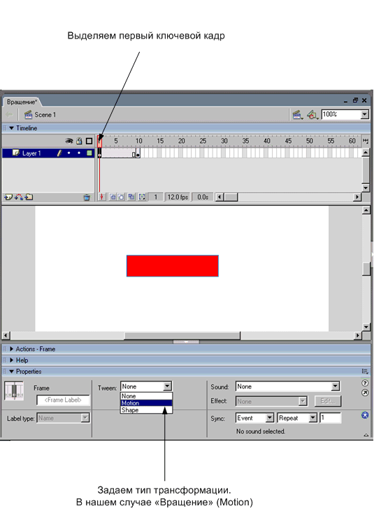 Задание типа трансформации в Macromedia Flash MX 2004